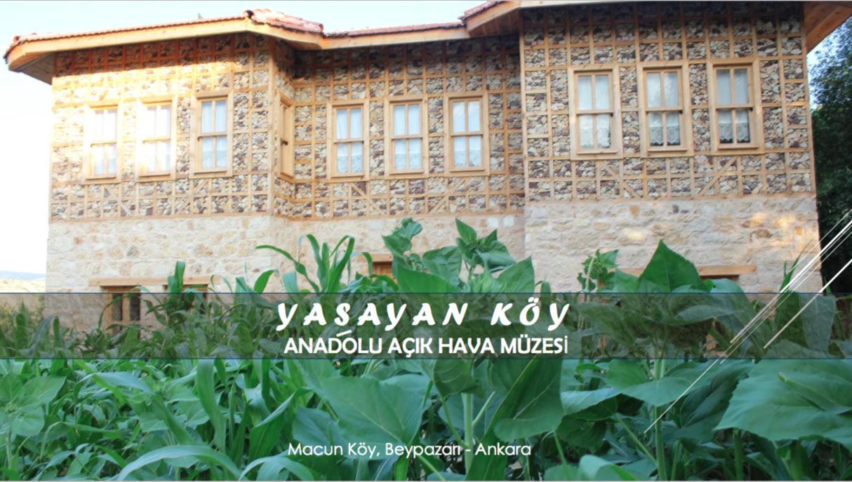 Yasayan Koy Hotel Kizilcasogut Exterior foto